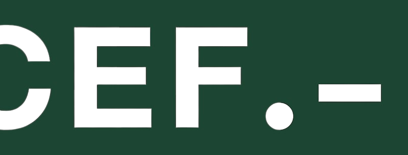 LogoCEF-removebg-preview 1